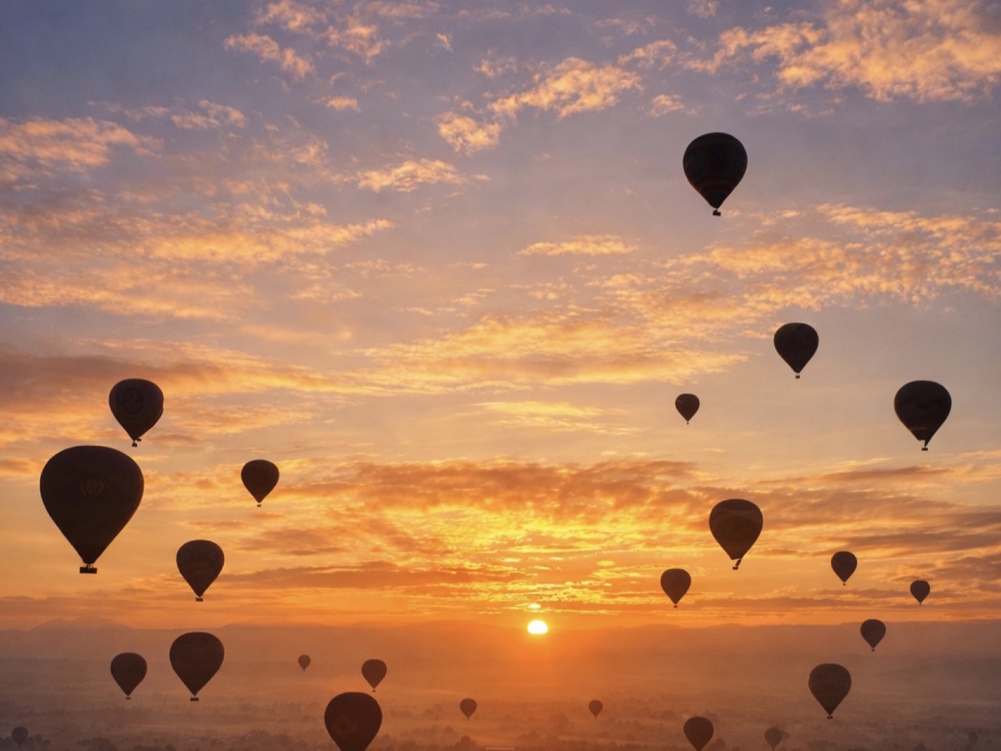 Hot-air balloons silhouetted against the sunrise